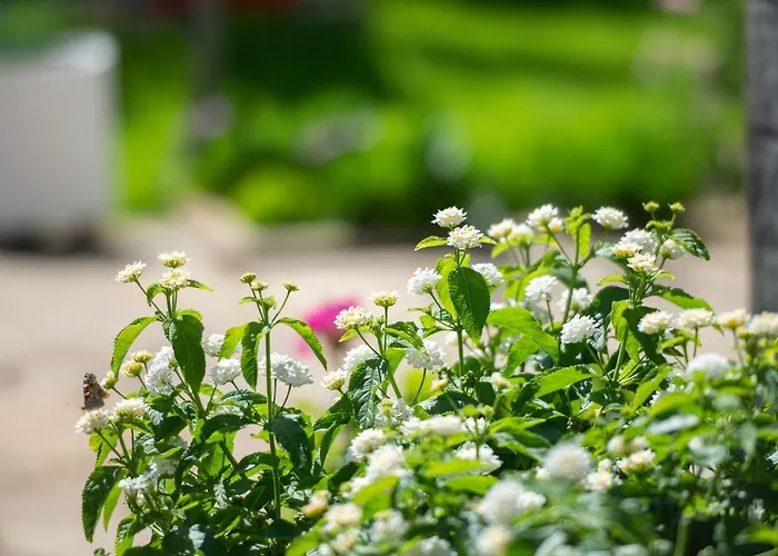 Сasa de vacaciones Isabella