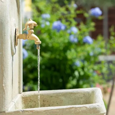 Isabella * טורוני